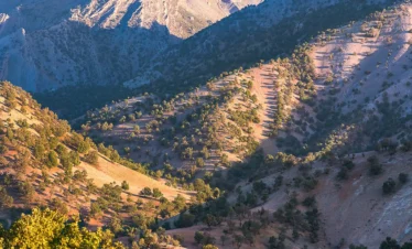 2-Day Combined Overnight Trip to the Atlas Mountains