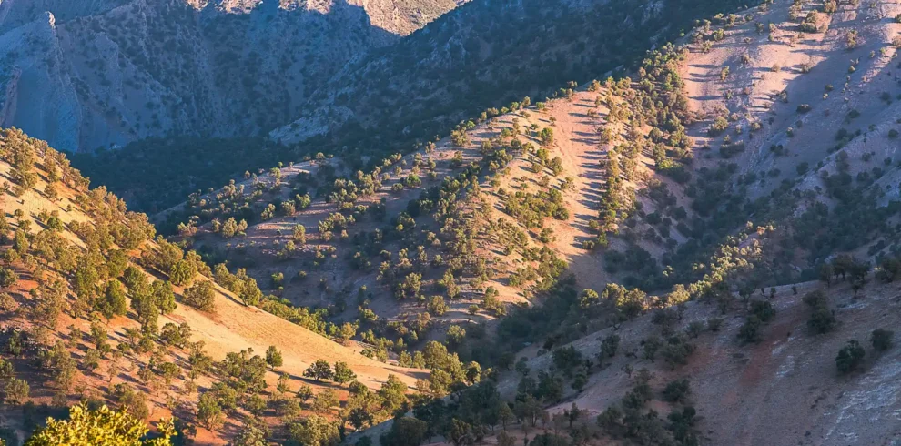 2-Day Combined Overnight Trip to the Atlas Mountains