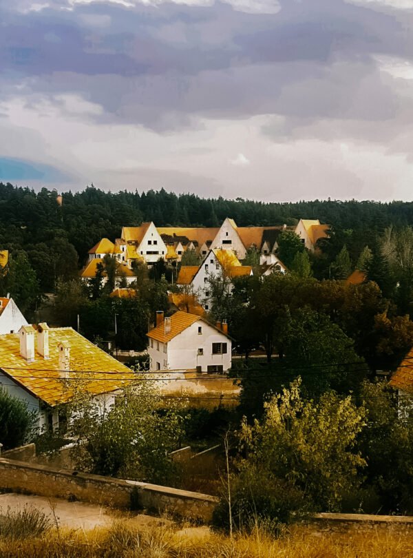 Morocco Oasis Safari Desert Adventure & Hidden Palm Paradises