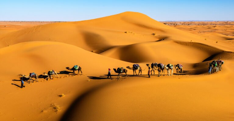 Merzouga desert tours and Sahara adventures in Morocco