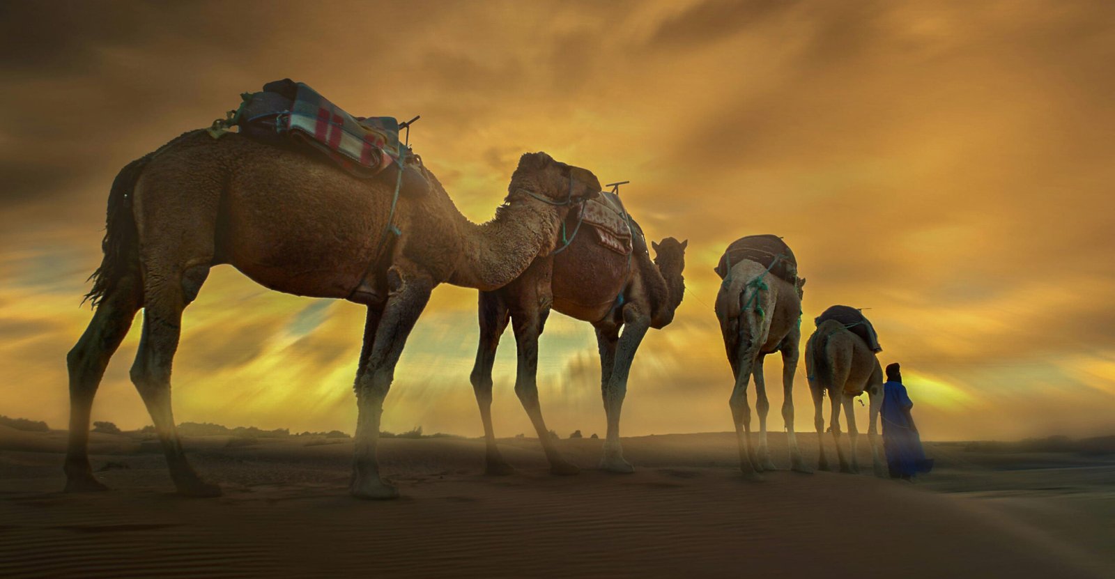 > Camel ride in the Moroccan Sahara desert – Morocco Travel Bliss.