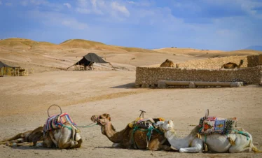 2 Day Trip Essaouira & Agafay Desert