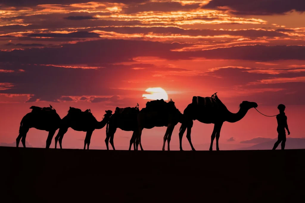 5 Days Morocco Tour from Casablanca to Marrakech