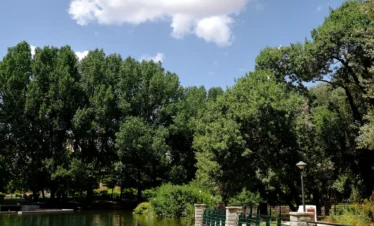 1 Day Trip Middle Atlas From Fes