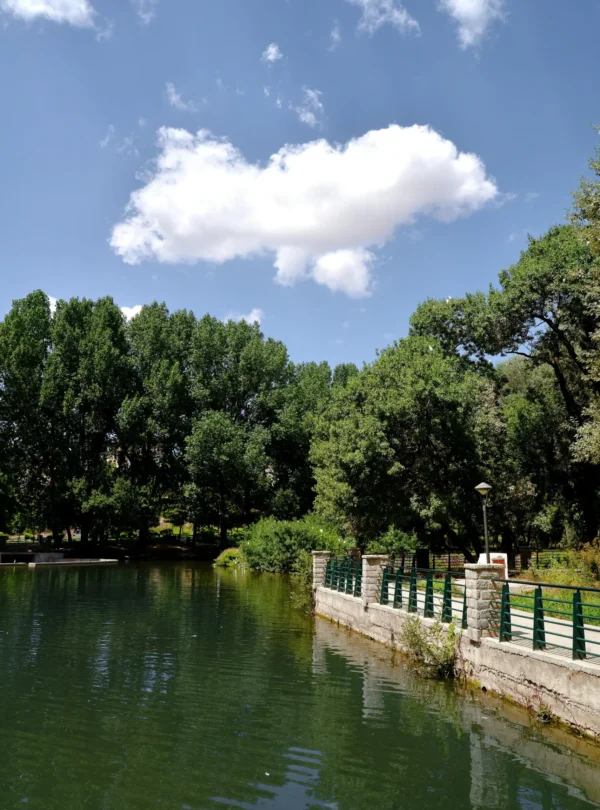 1 Day Trip Middle Atlas From Fes