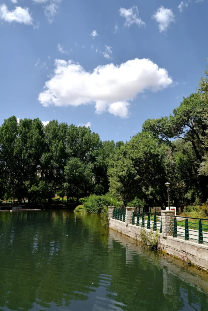 1 Day Trip Middle Atlas From Fes