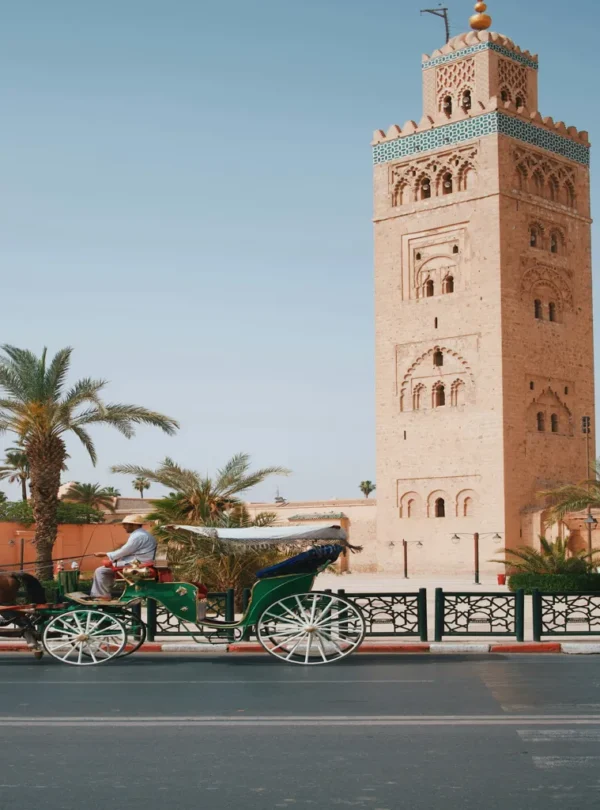 Day Trip from Casablanca to Marrakech