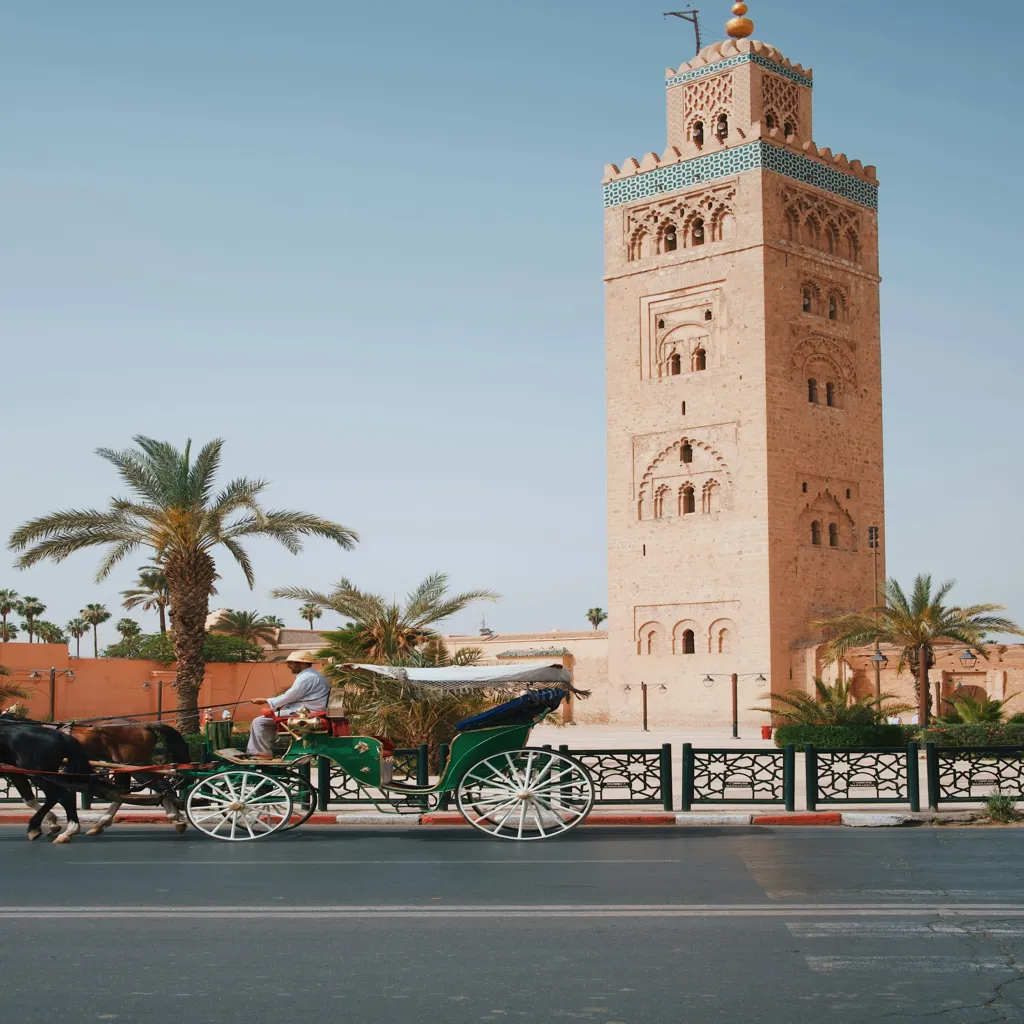 Day Trip from Casablanca to Marrakech