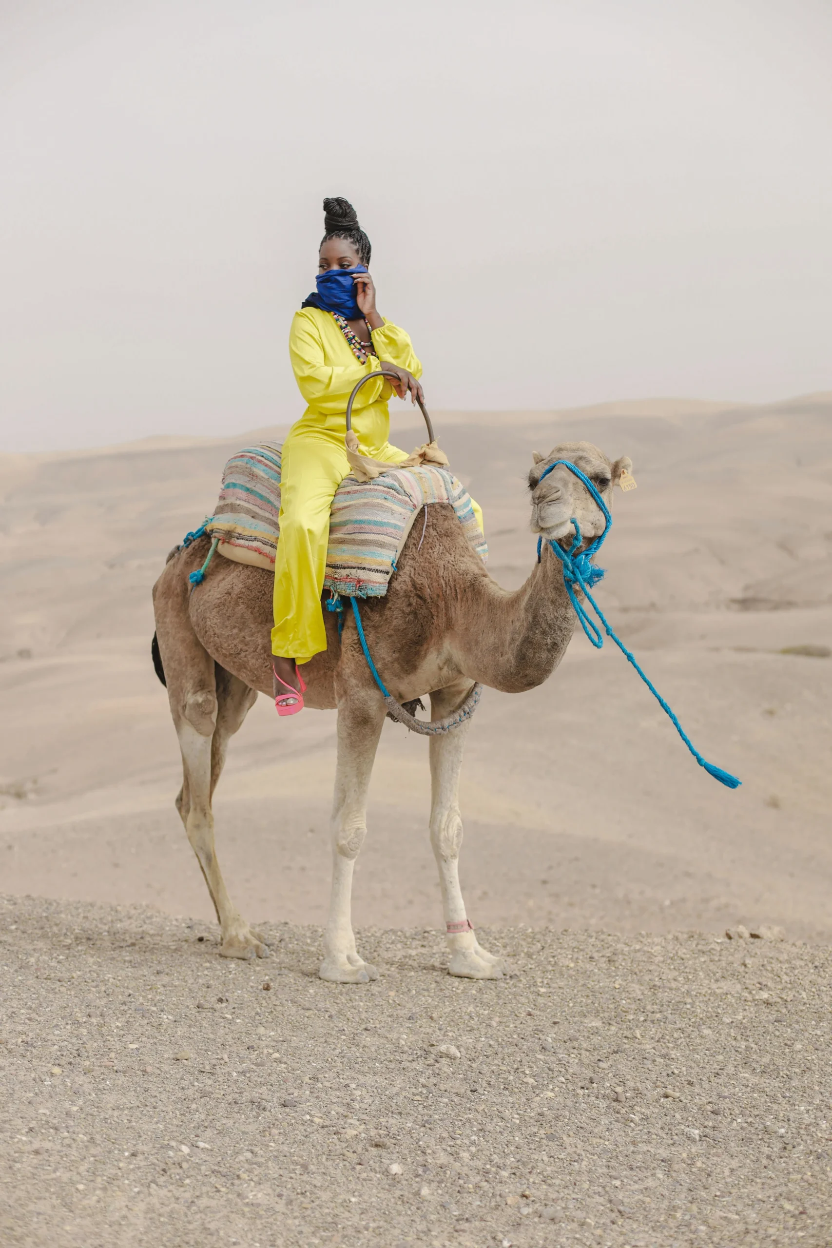 Camel caravan crossing the golden dunes of Merzouga Tourist riding a camel during a desert trek across the Merzouga dunes in Morocco