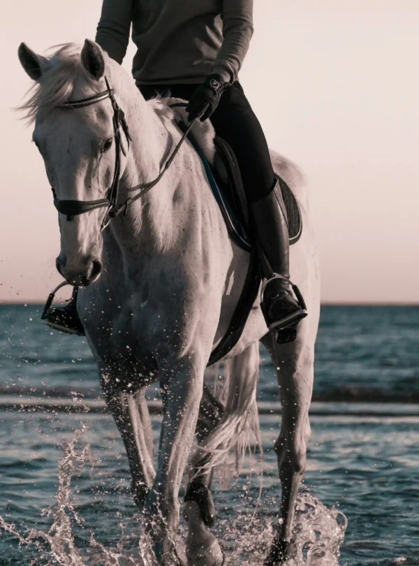 horse riding morocco agadir and essaouira