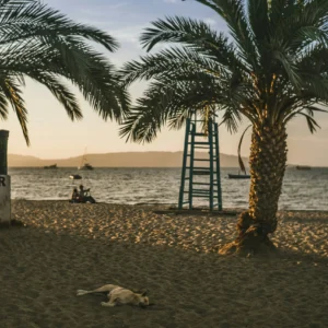 Que faire à Essaouira